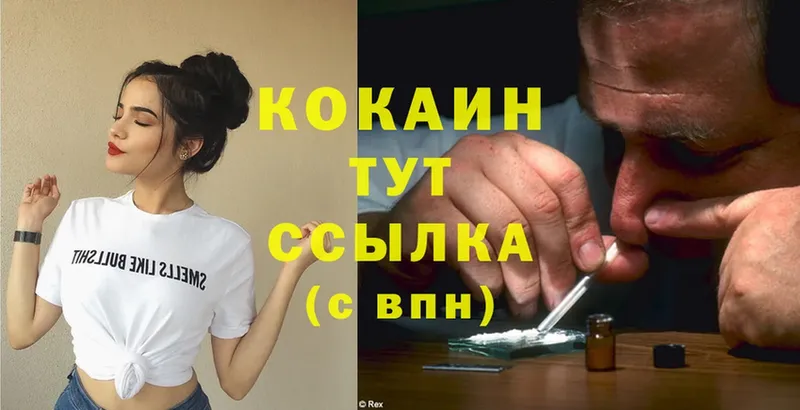 Cocaine FishScale  Барнаул 